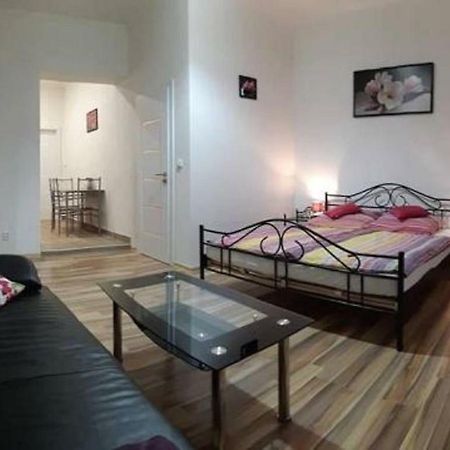 Apartment Krale Jiriho カルロヴィ・ヴァリ エクステリア 写真