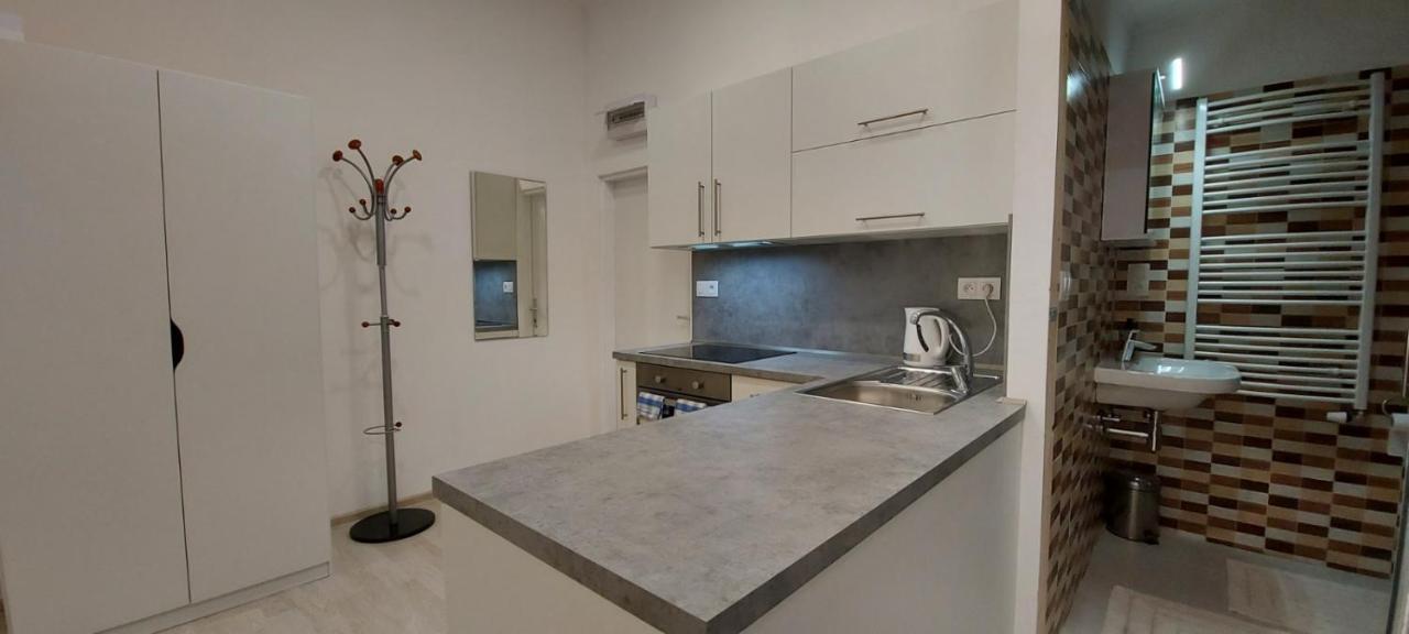 Apartment Krale Jiriho カルロヴィ・ヴァリ エクステリア 写真